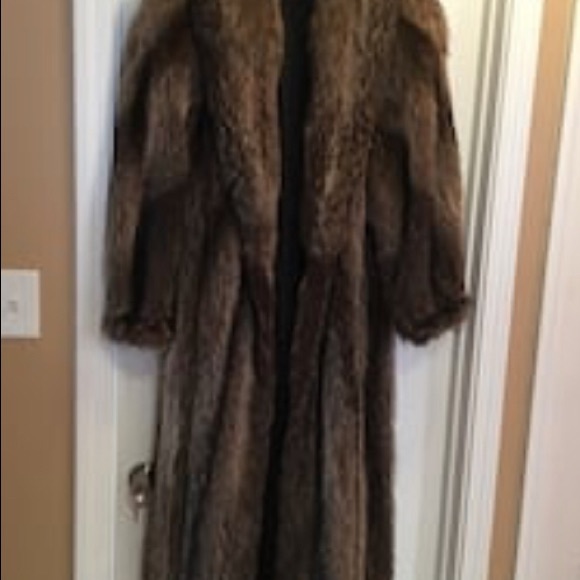Beaver Fut